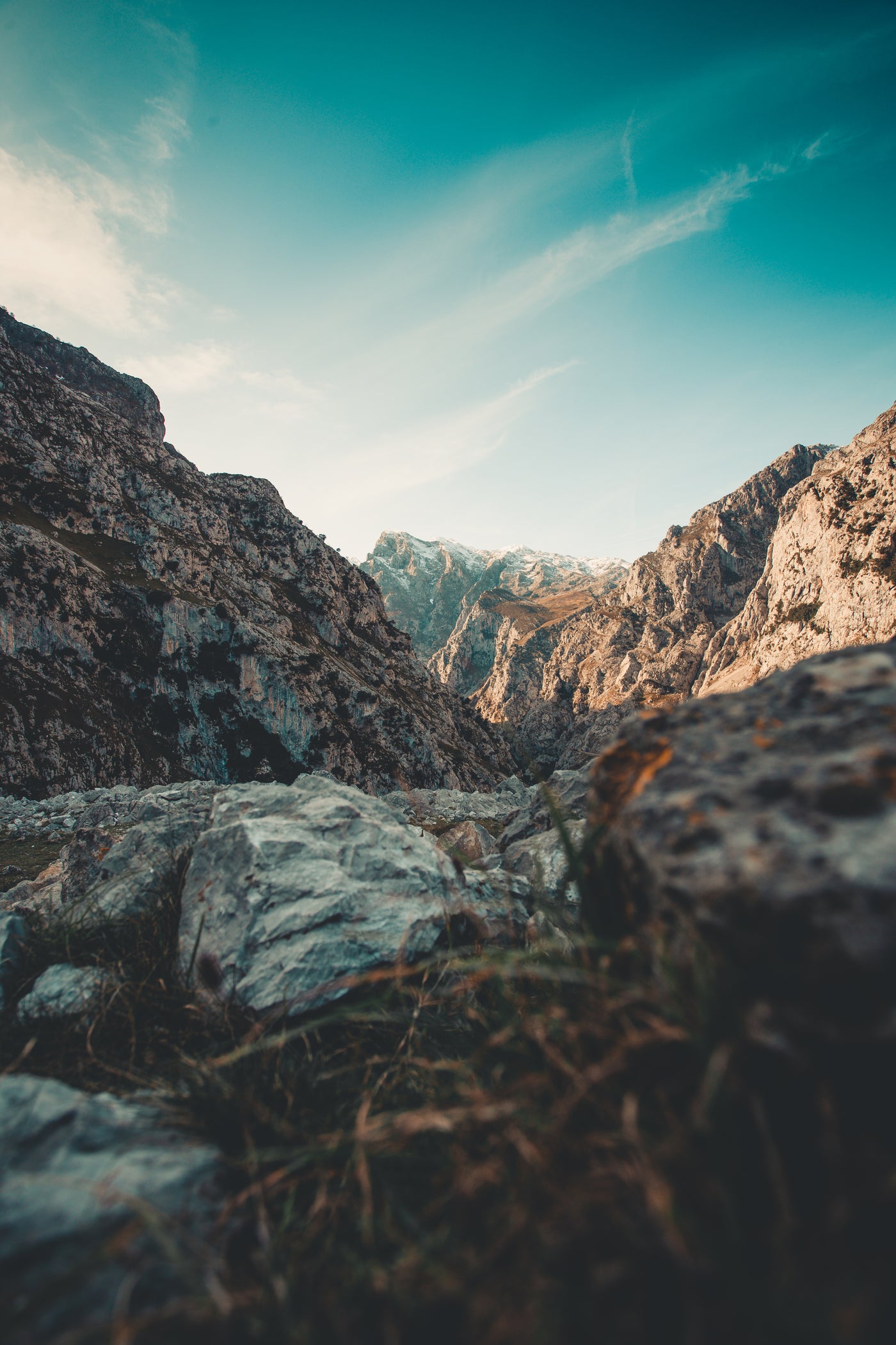 Himalayan Mountains Shilajit Resin