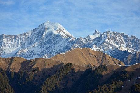 Exploring the Enigma of Saraswati Mountain in India and its Valuable Shilajit Resin