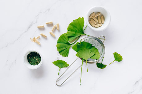 Health Benefits of Popular Supplements: Shilajit, Cistanche Tubulosa, Tongkat Ali and Fadogia Agrestis, Turkesterone, and Irish Sea Moss with Bladderwrack and Burdock Root
